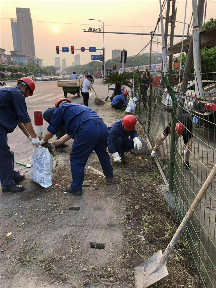 1593500703757402.jpg image005.jpg