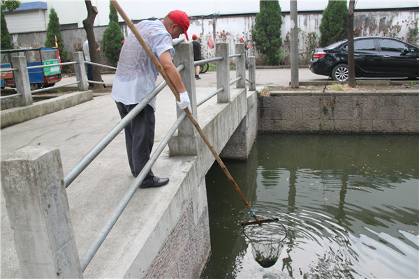 1597303937374376.jpg 2017090416335213.jpg